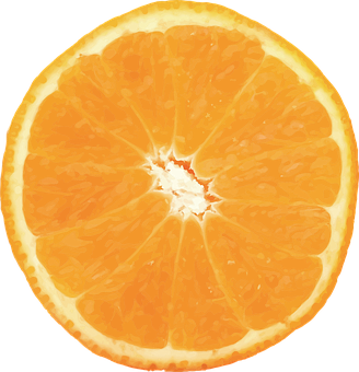 Fresh Orange Slice Black Background PNG Image