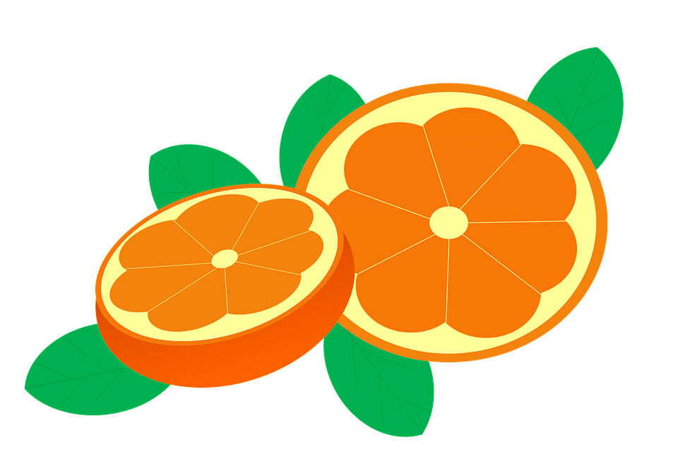 Fresh Orange Slices Illustration PNG Image