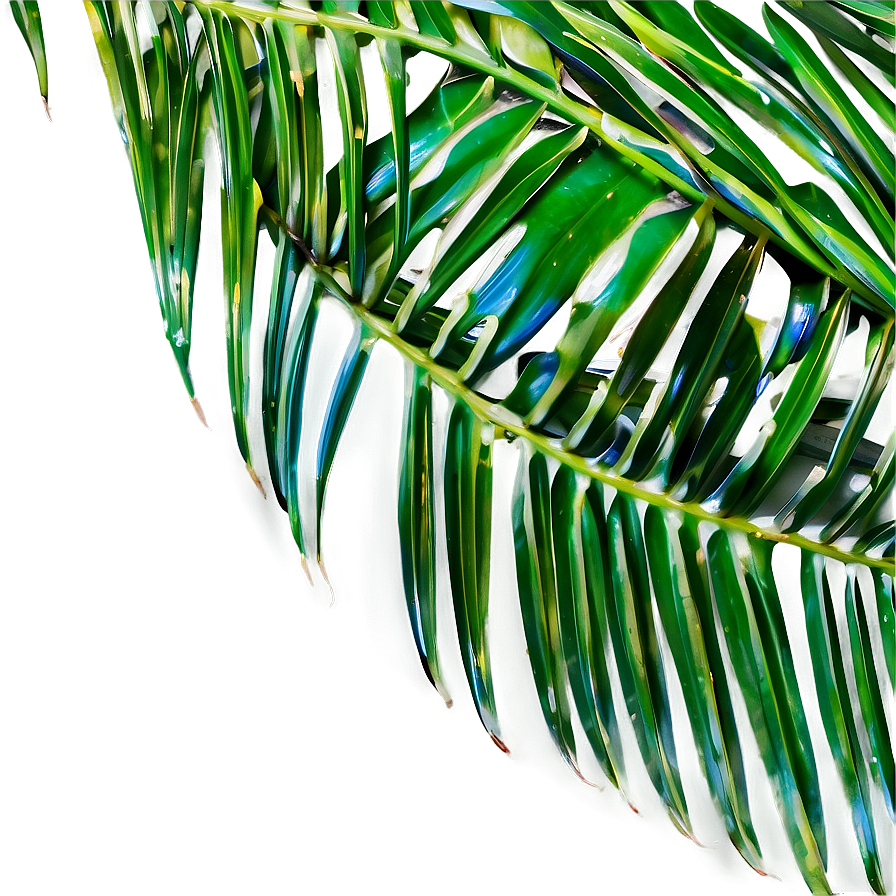 Fresh Palm Leaves Png 72 PNG Image