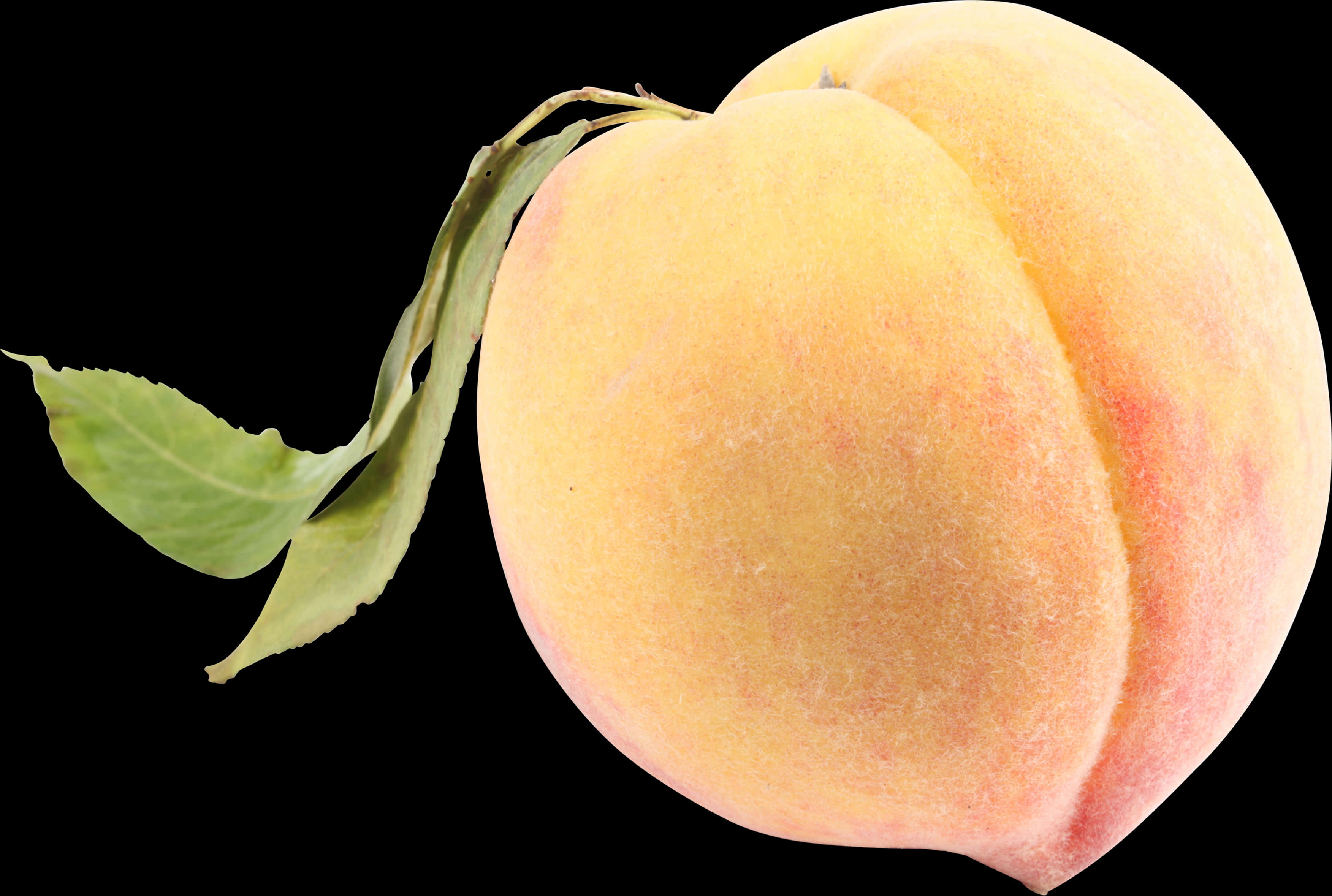 Fresh Peach Black Background PNG Image