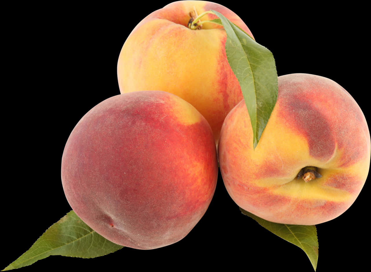 Fresh Peaches Black Background PNG Image