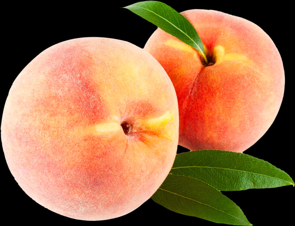 Fresh Peaches Black Background PNG Image