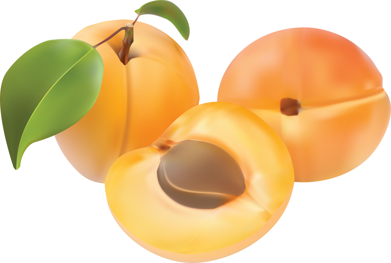 Fresh Peachesand Half Slice Illustration PNG Image