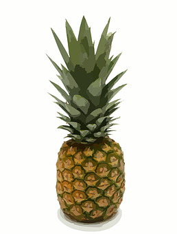 Fresh Pineapple Illustration PNG Image