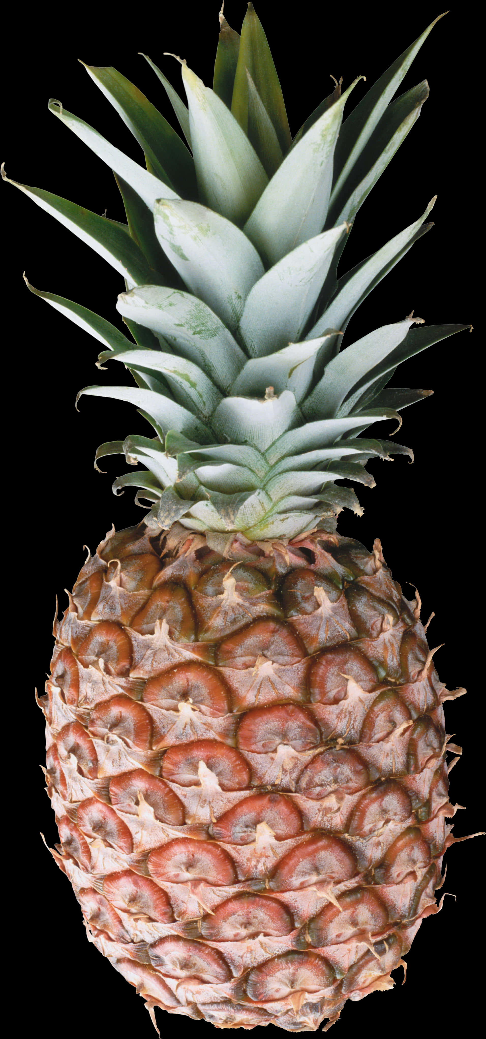 Fresh Pineapple Isolatedon Black PNG Image