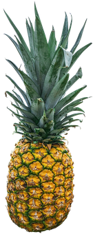 Fresh Pineappleon Black Background.jpg PNG Image