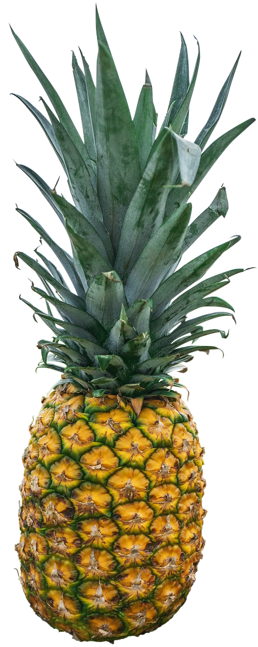 Fresh Pineappleon Black Background.jpg PNG Image