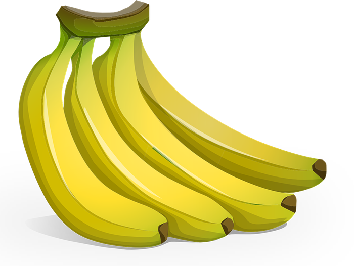 Fresh Plantain Bunch Illustration PNG Image