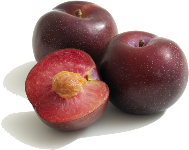 Fresh Plumsand Half Cut Plum PNG Image