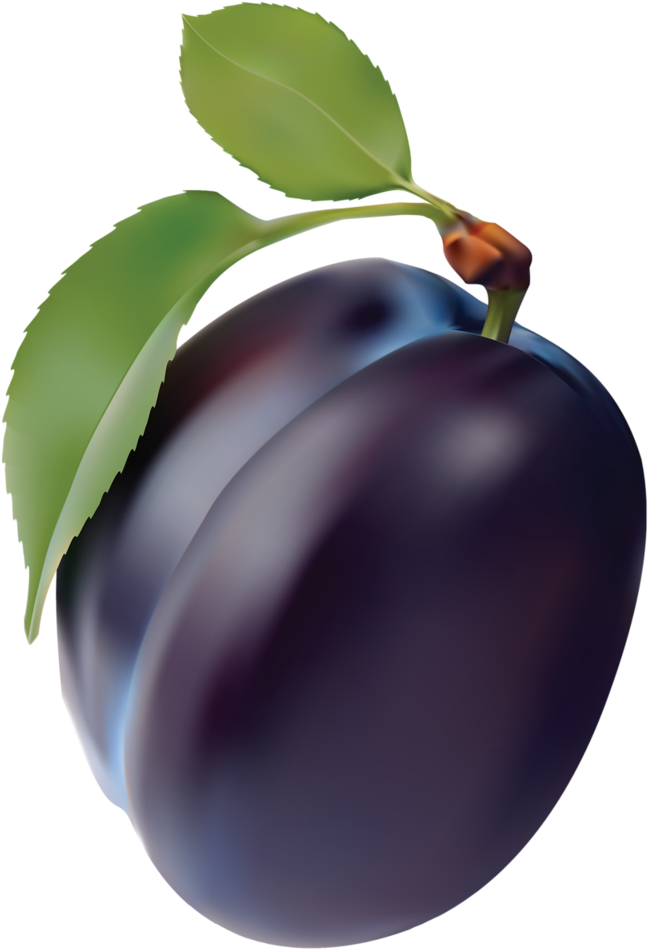 Fresh Plumwith Leaf PNG Image