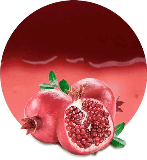 Fresh Pomegranate Fruit Circle Background PNG Image