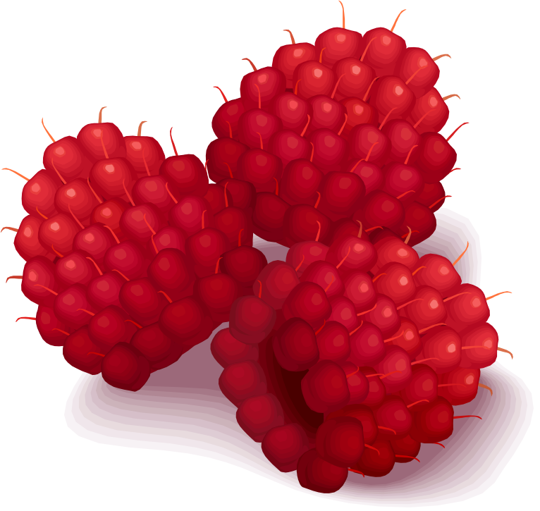 Fresh Raspberries Illustration PNG Image