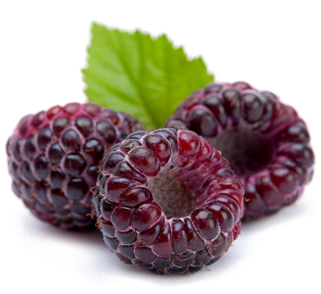 Fresh Raspberrieswith Leaf.png PNG Image