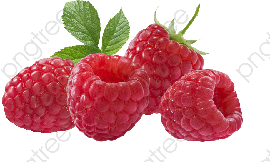 Fresh Raspberrieswith Leaves.png PNG Image