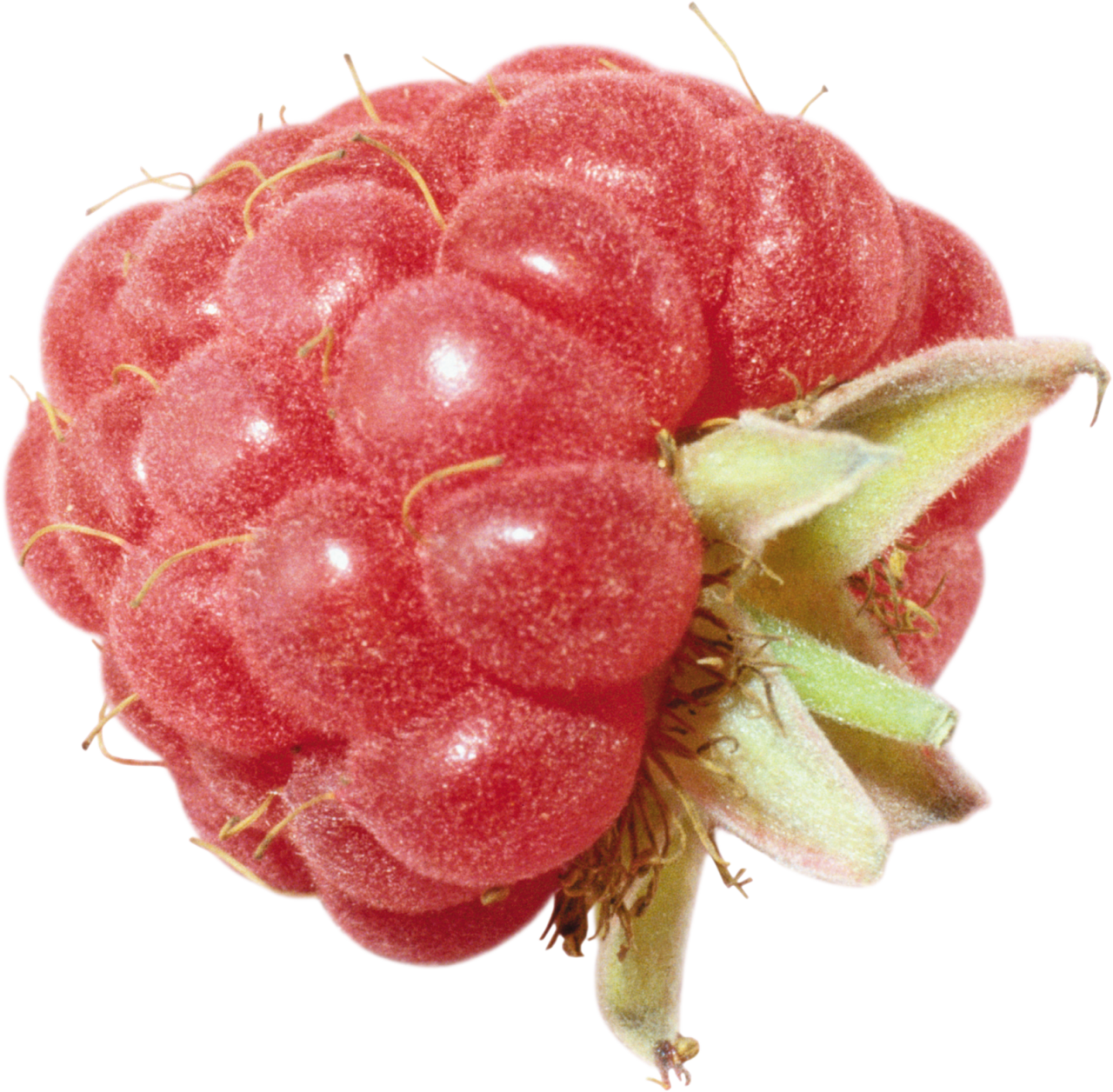 Fresh Raspberry Closeup.png PNG Image