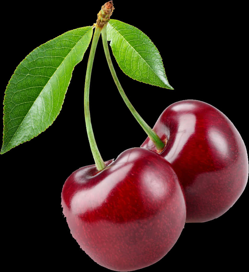 Fresh Red Cherrieswith Leaves PNG Image