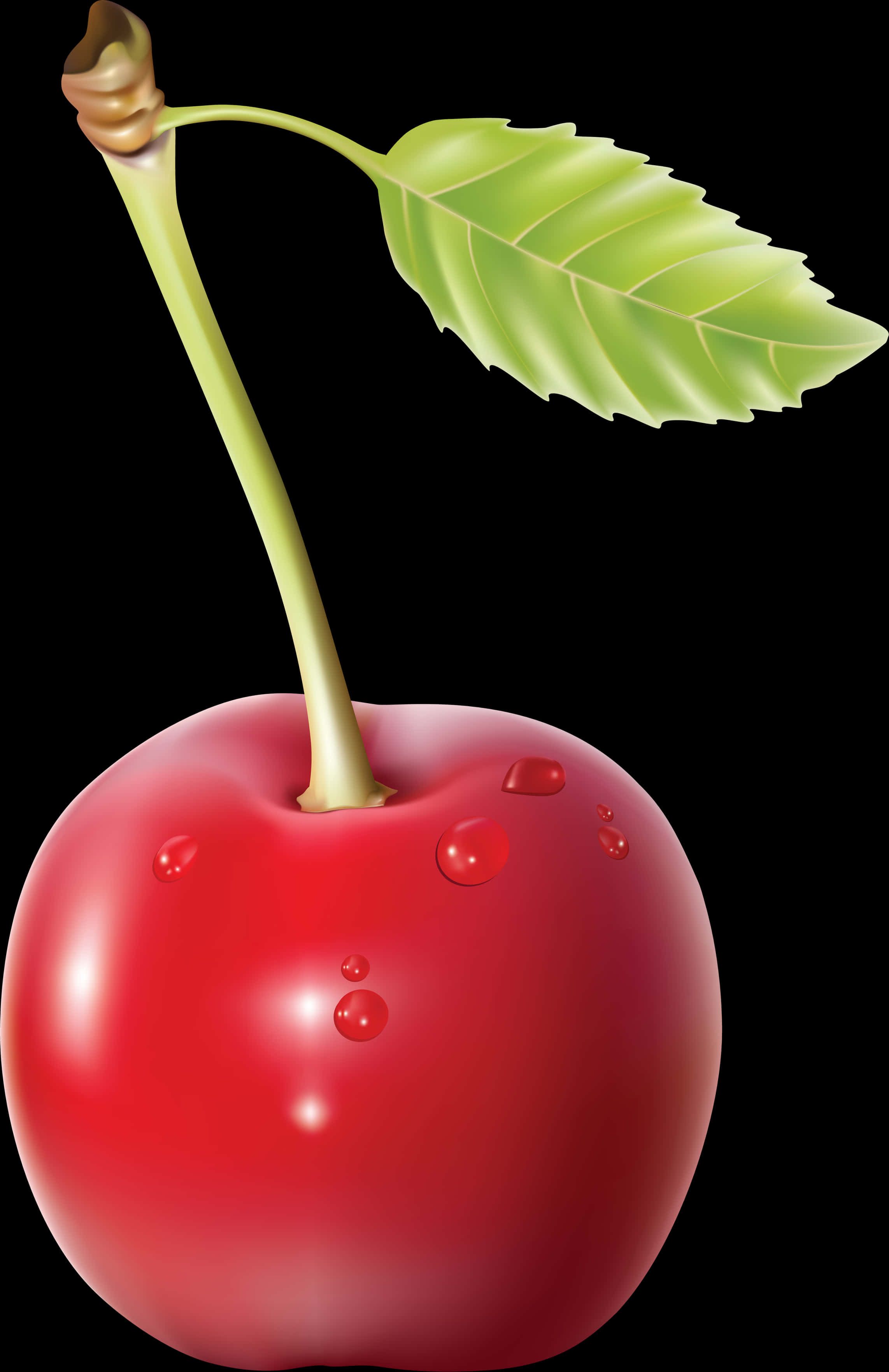 Fresh Red Cherrywith Dew Drops PNG Image