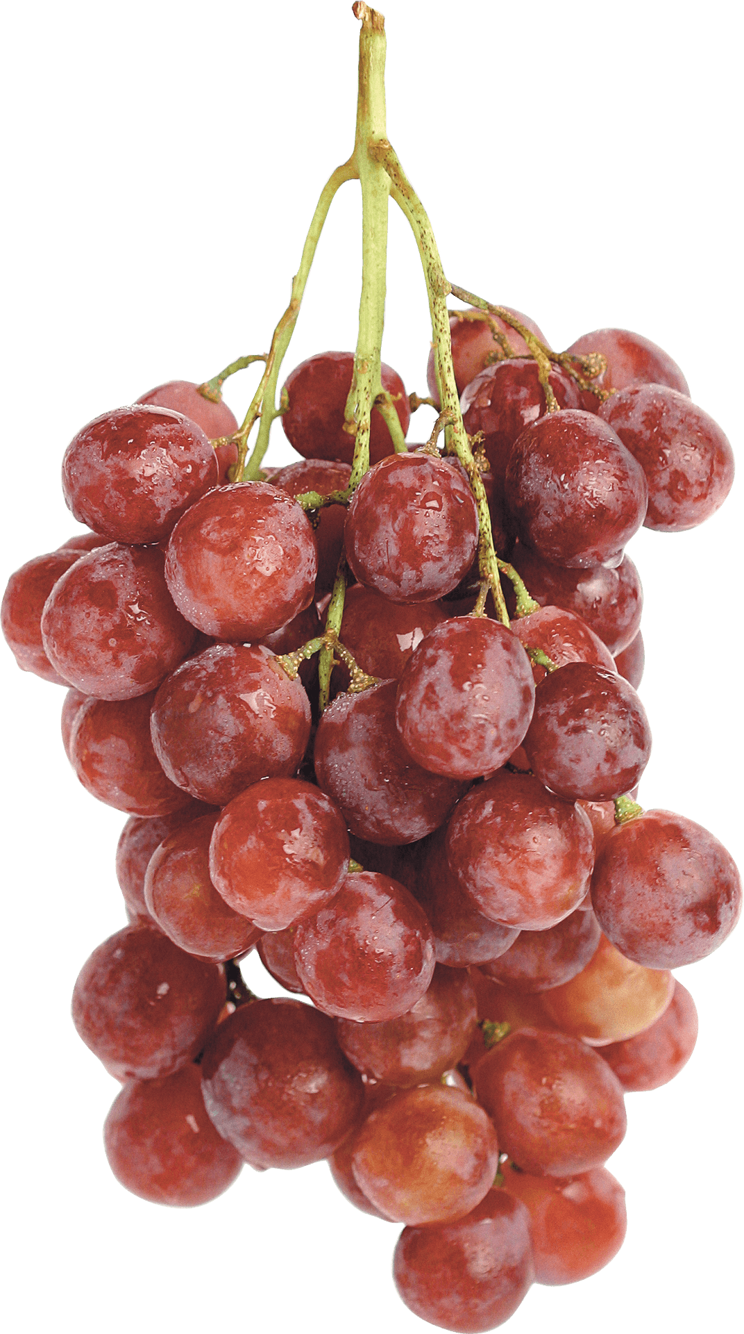 Fresh Red Grape Cluster.png PNG Image