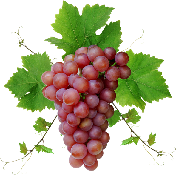 Fresh Red Grape Cluster.png PNG Image