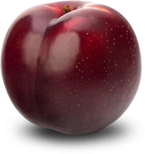 Fresh Red Plum Fruit PNG Image