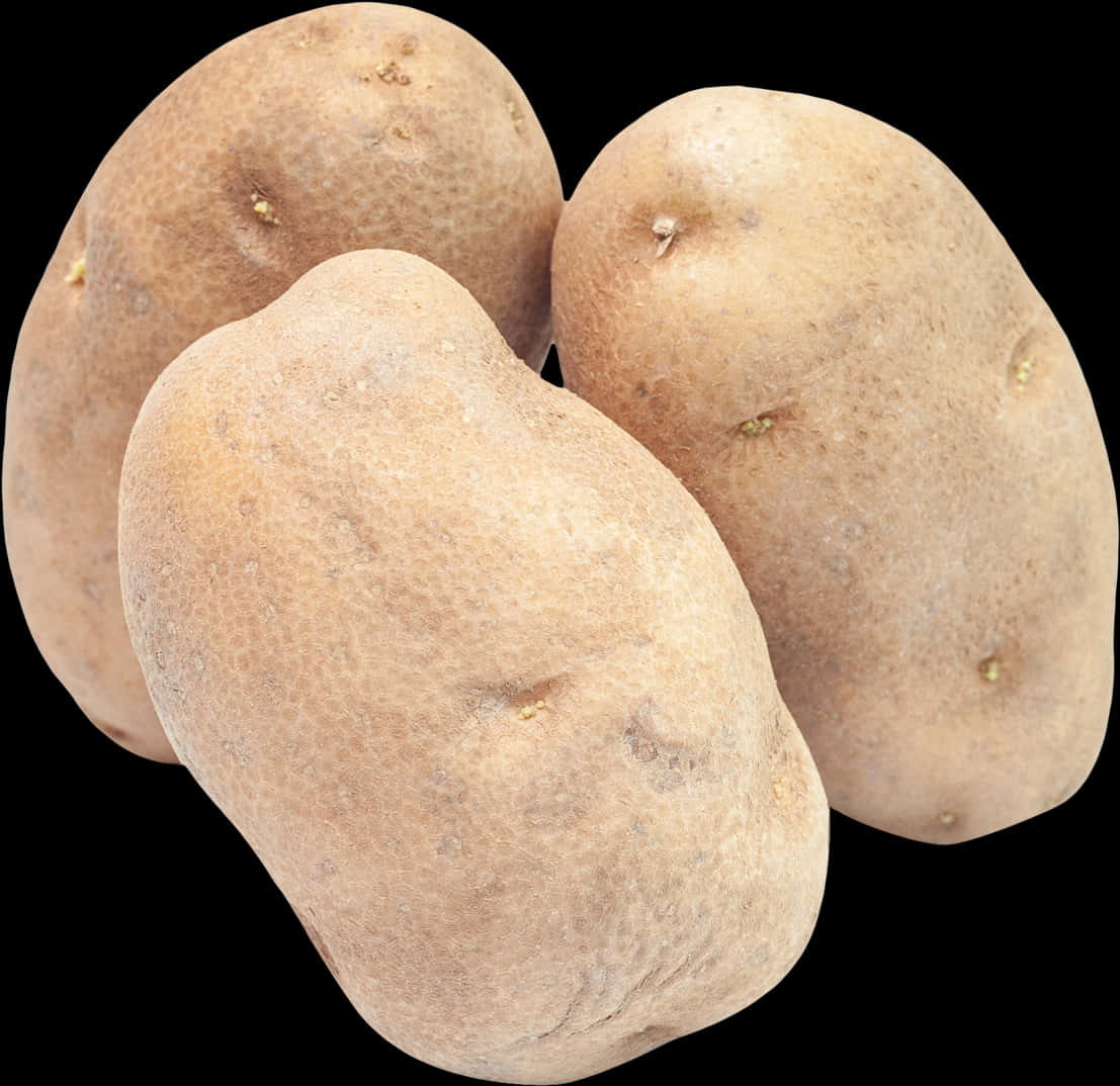 Fresh Russet Potatoes Isolated PNG Image