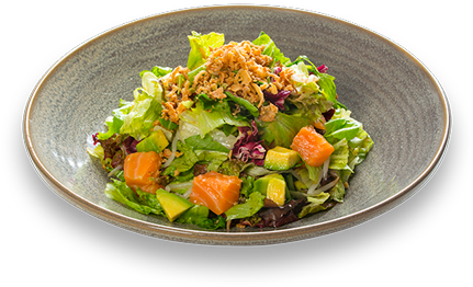 Fresh Salmon Salad Dish PNG Image