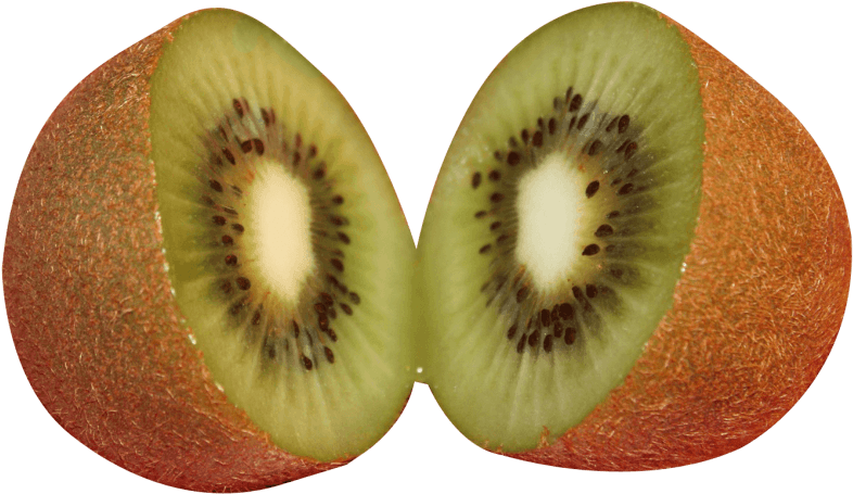 Fresh Sliced Kiwi Fruit PNG Image