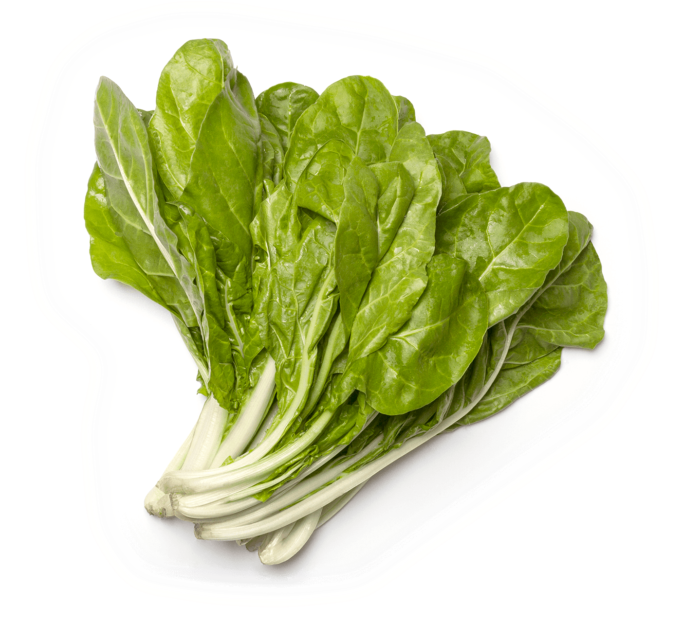 Fresh Spinach Bunch Isolated PNG Image