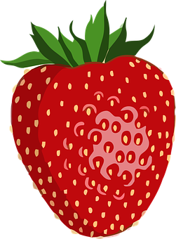 Fresh Strawberry Vector Illustration PNG Image