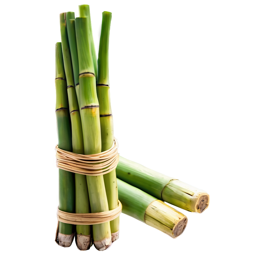 Fresh Sugarcane Png 06262024 PNG Image