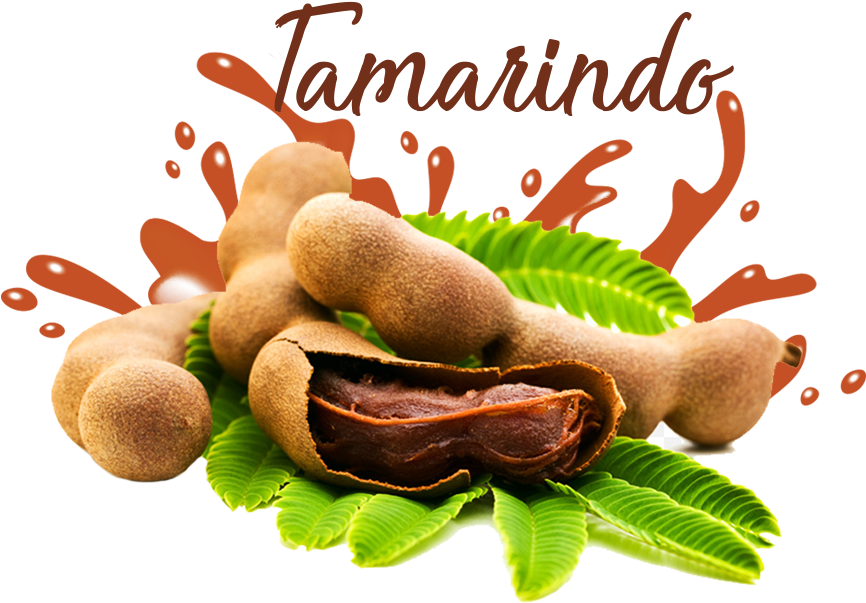 Fresh Tamarind Pods Splash PNG Image