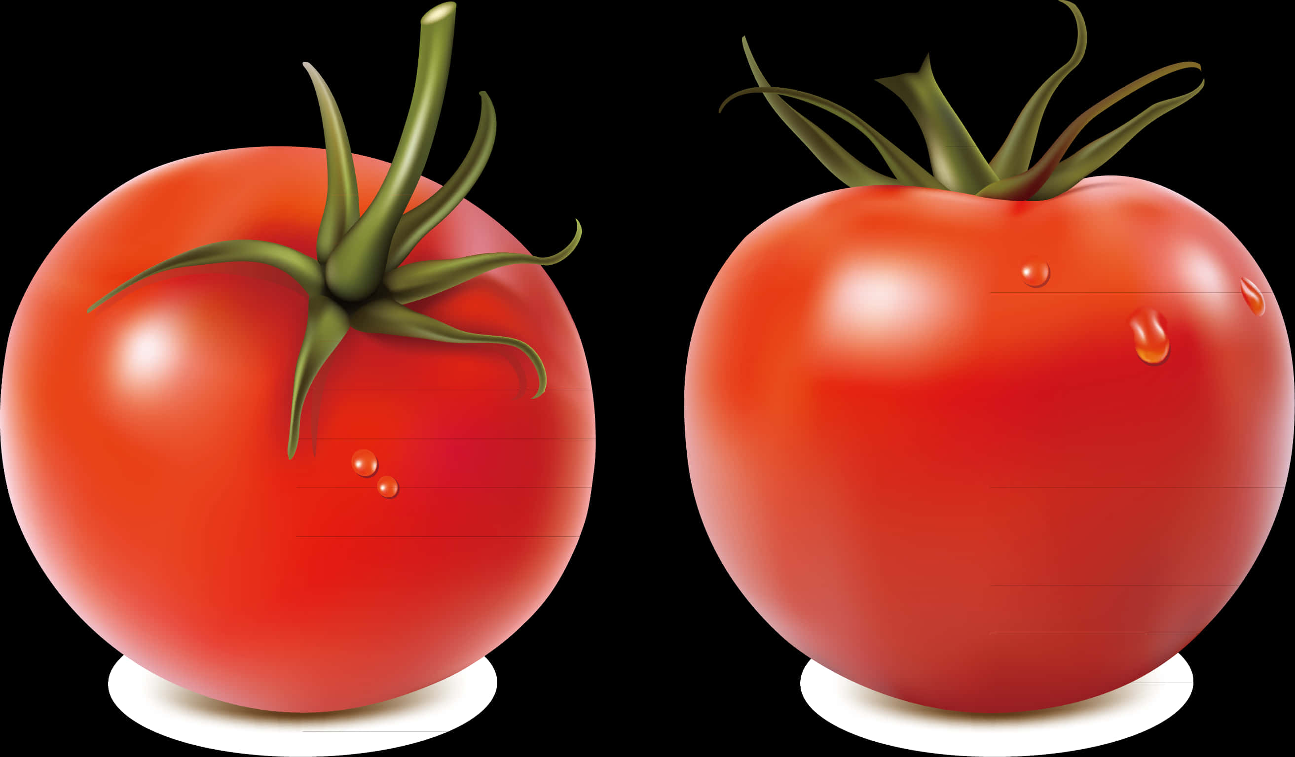 Fresh Tomatoes Illustration PNG Image