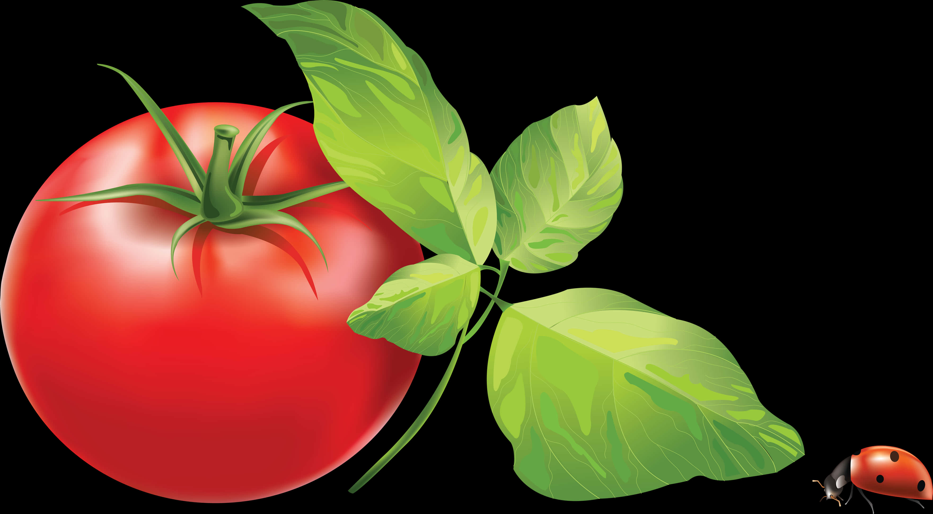 Fresh Tomatowith Leavesand Ladybug PNG Image