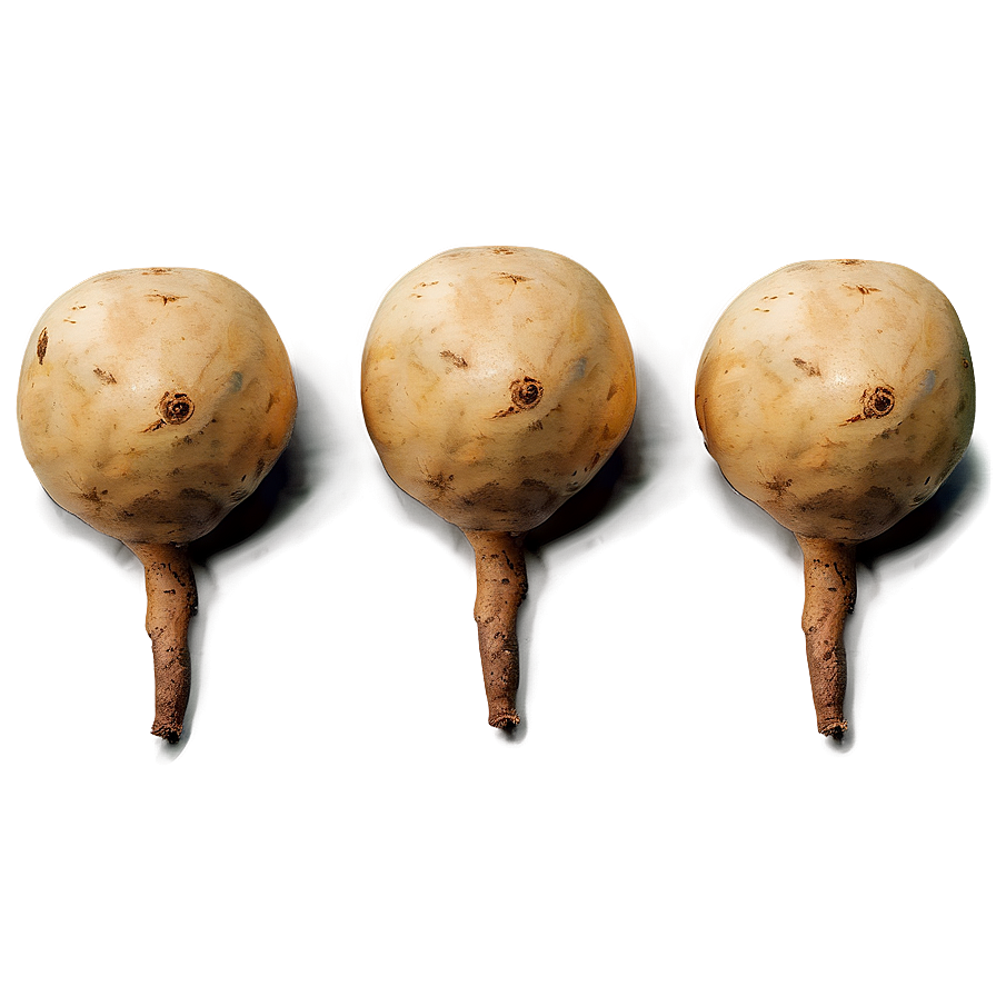 Fresh Tuber Harvest Png Mtr PNG Image