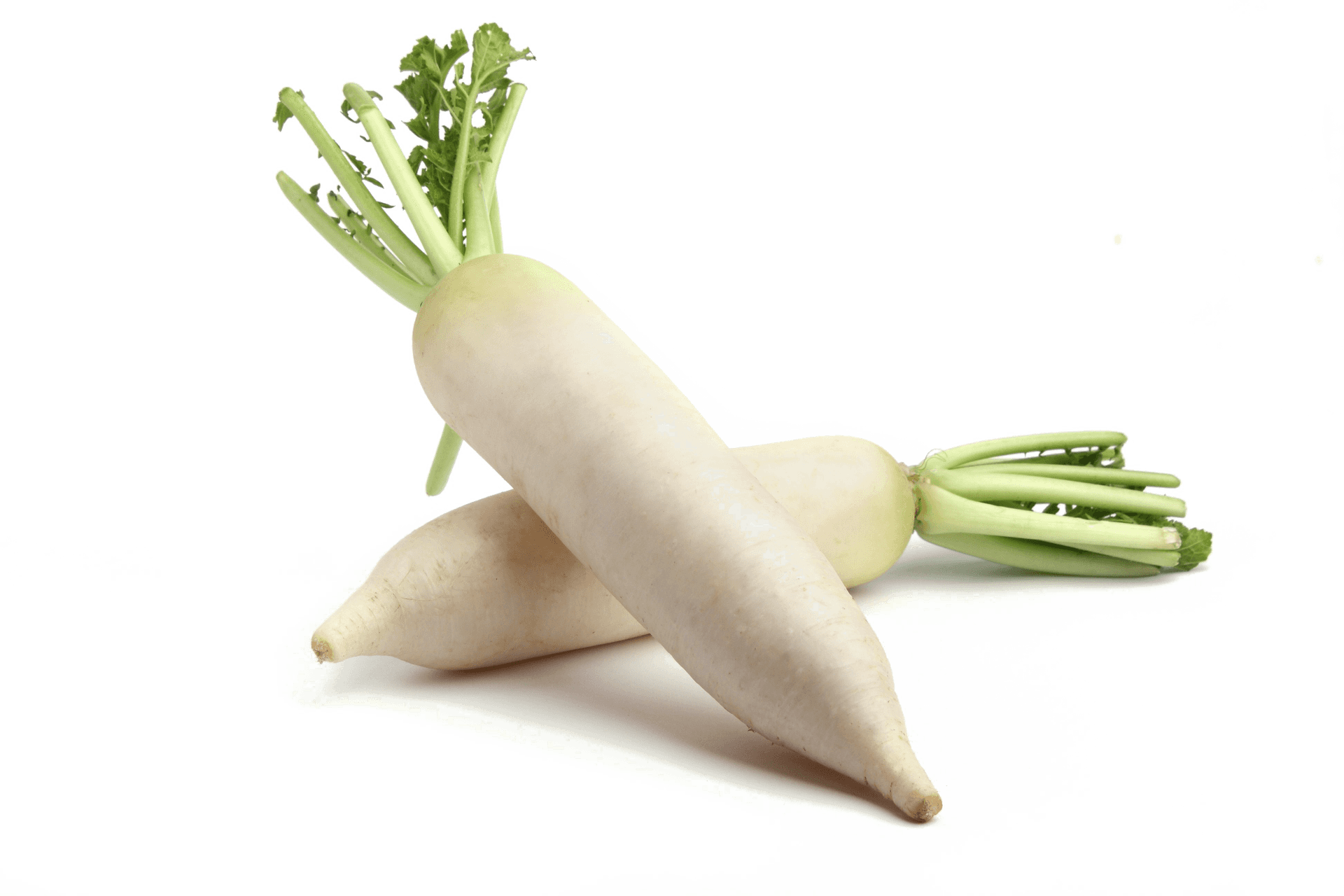 Fresh Turnips Crossed Isolated PNG Image