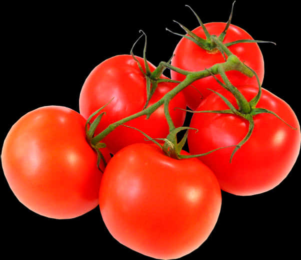 Fresh Vine Tomatoes Black Background PNG Image