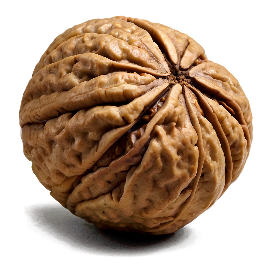 Fresh Walnut Png Bnf56 PNG Image