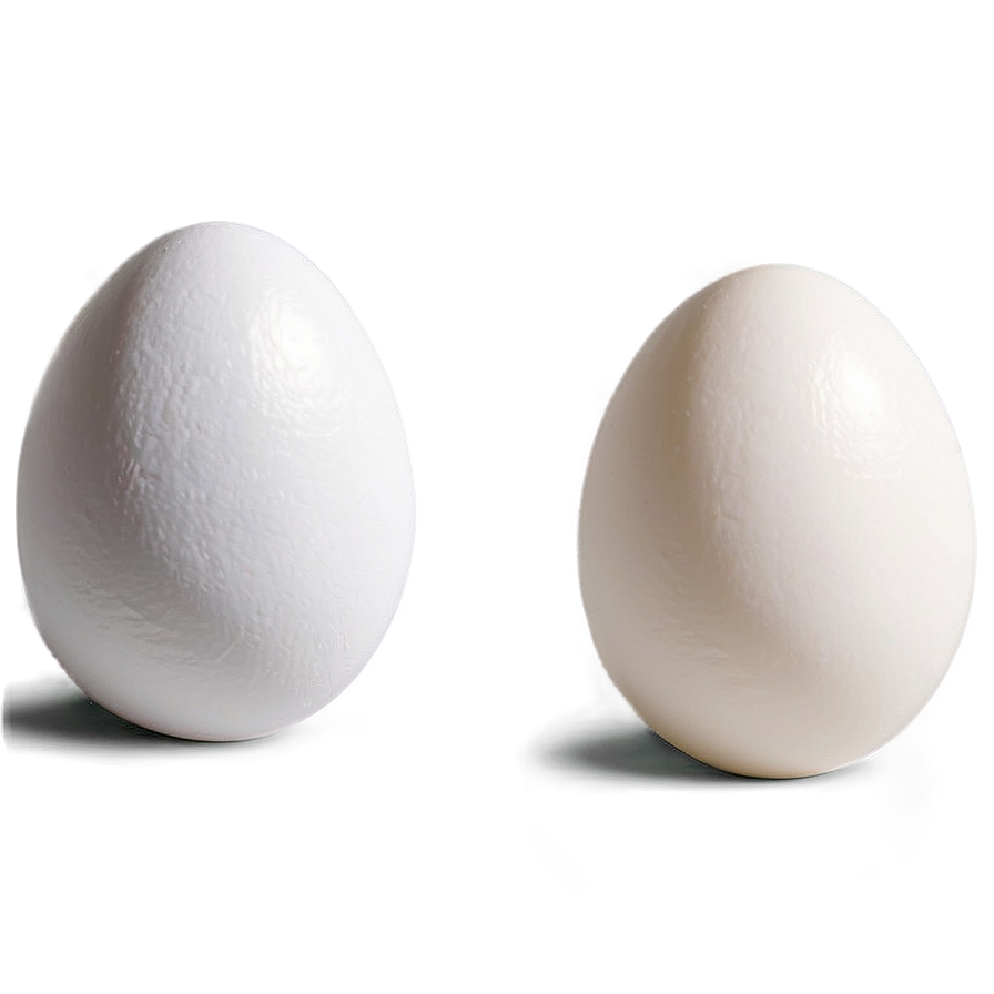 Fresh White Egg Png 06292024 PNG Image