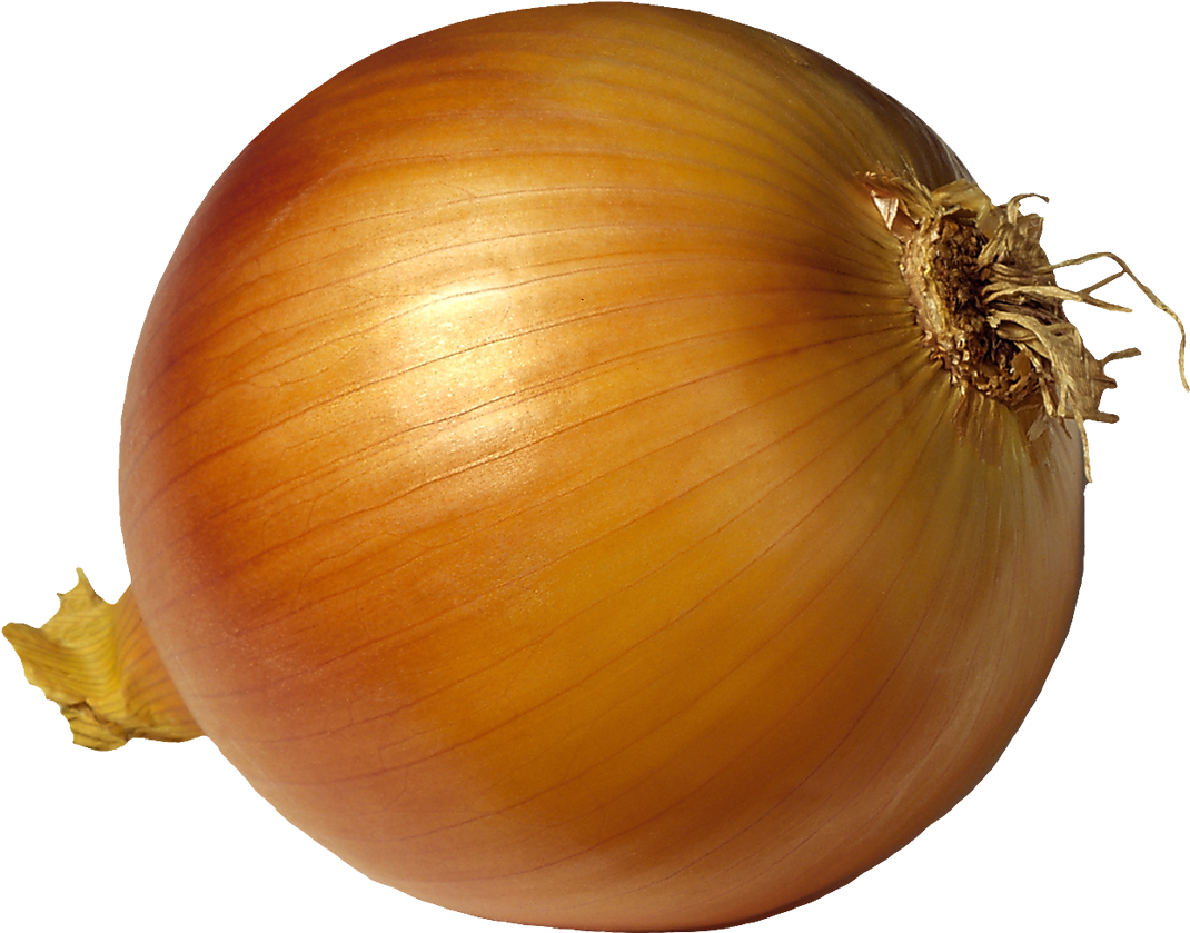 Fresh Whole Yellow Onion PNG Image