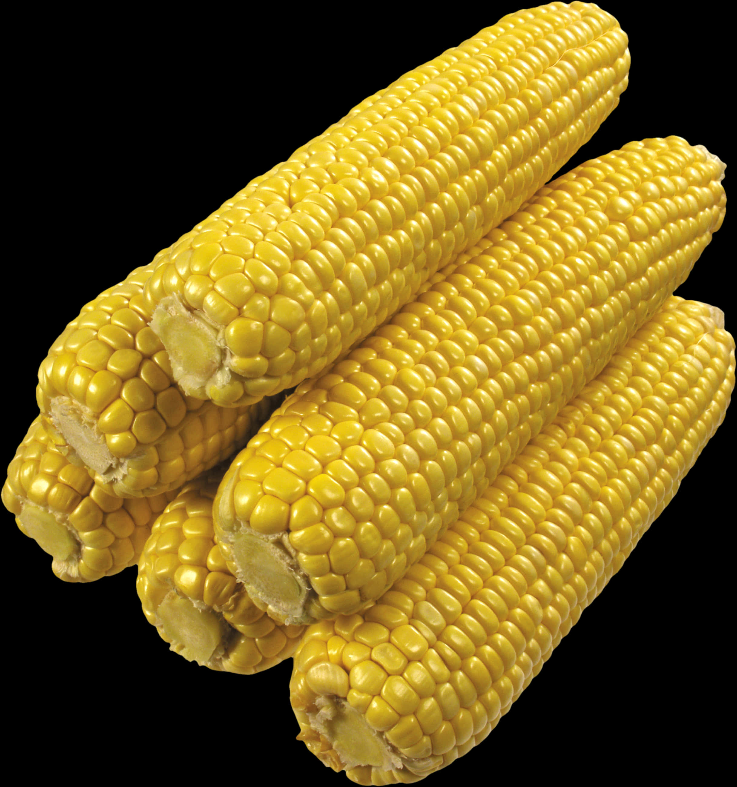 Fresh Yellow Corn Cobs PNG Image