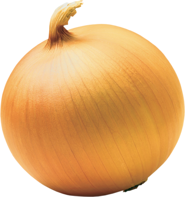 Fresh Yellow Onion PNG Image