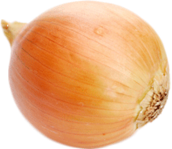 Fresh Yellow Onion PNG Image