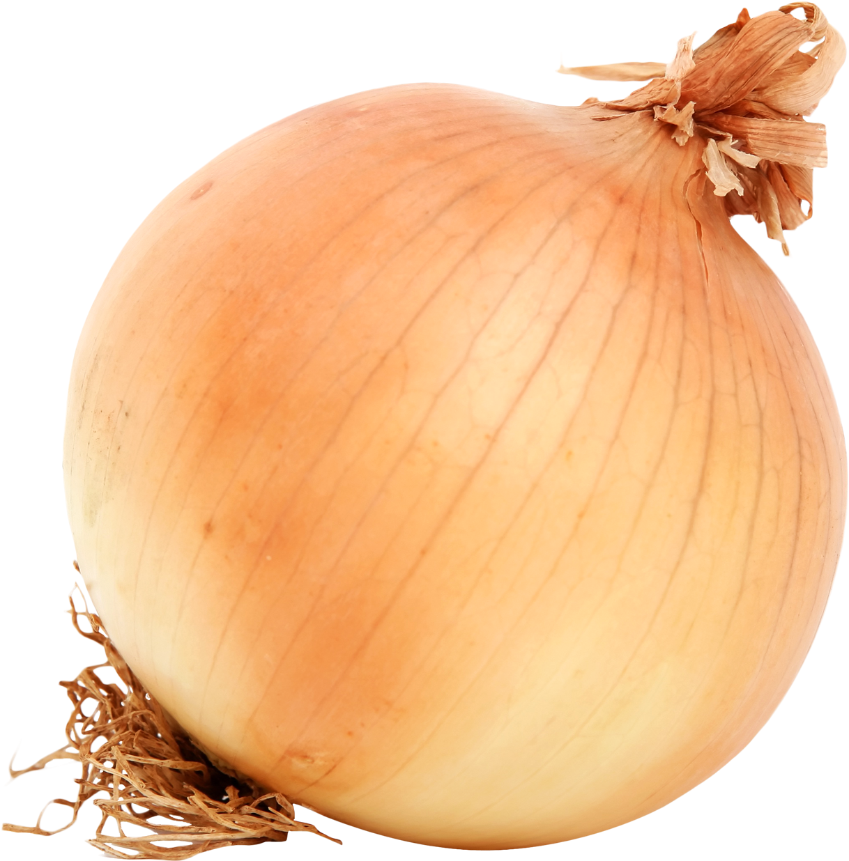 Fresh Yellow Onion PNG Image