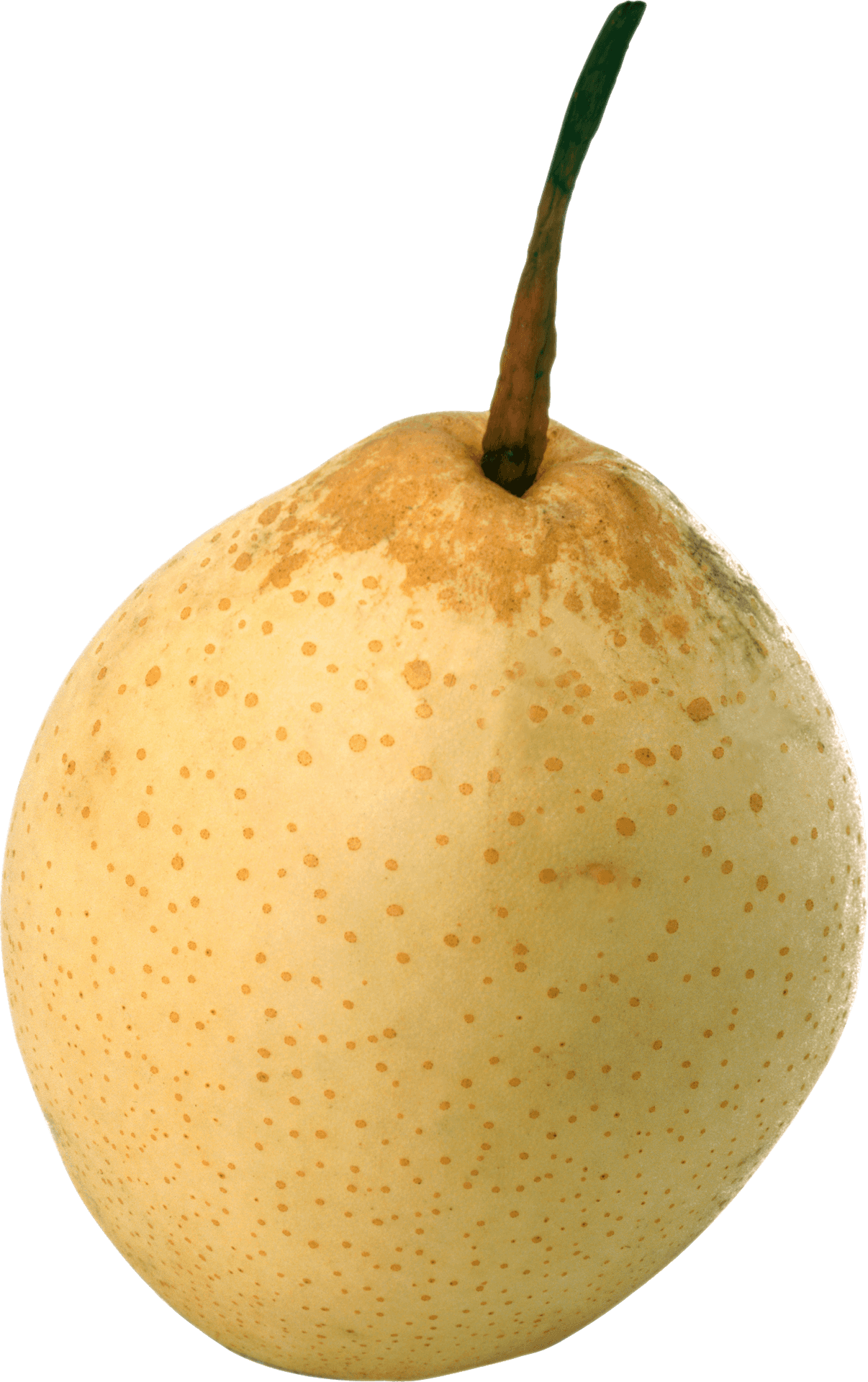 Fresh Yellow Pear Single Isolated PNG Image