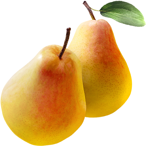 Fresh Yellow Pears With Leaf PNG Image