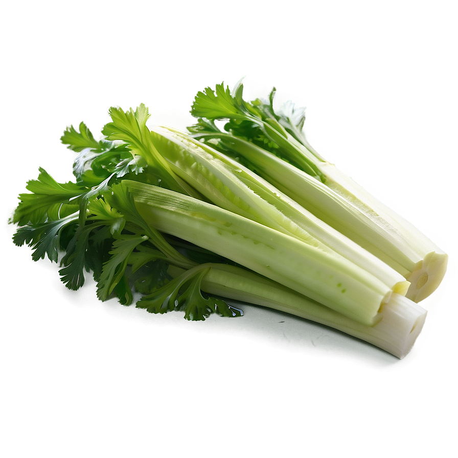 Freshly Cut Celery Png 61 PNG Image