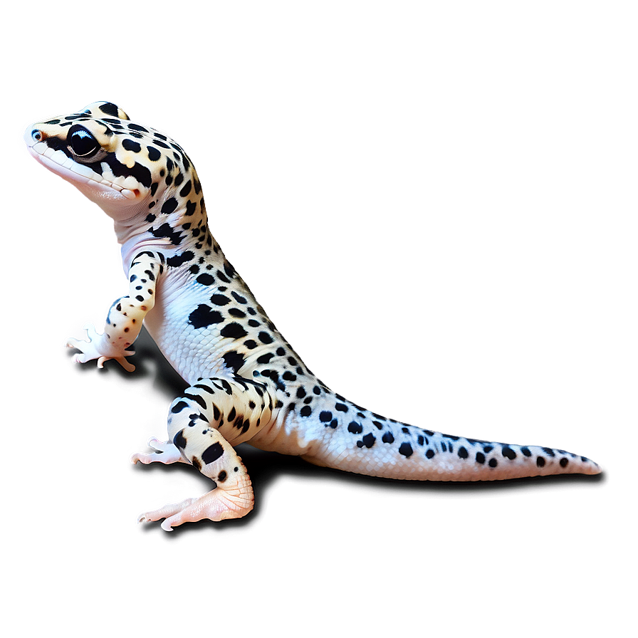 Friendly Leopard Gecko Png Akg PNG Image