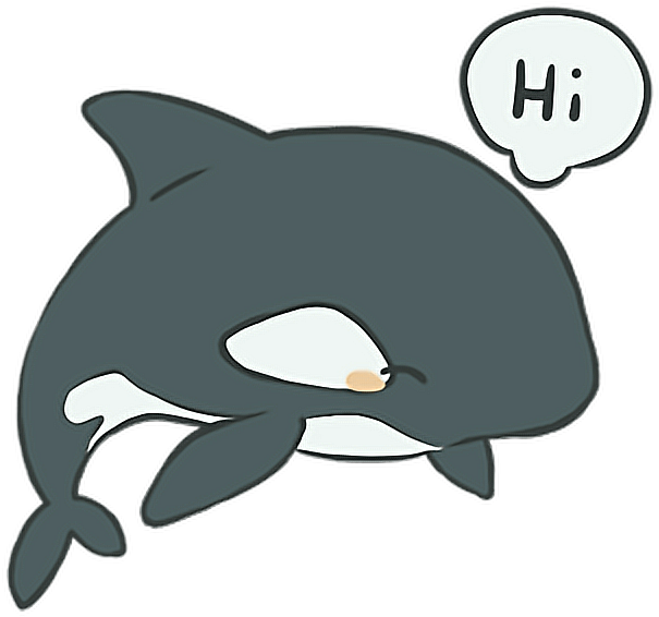 Friendly Orca Cartoon Greeting PNG Image