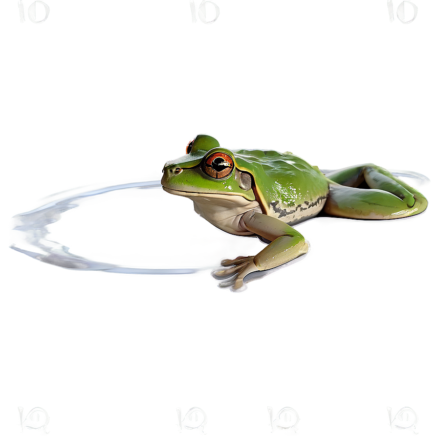 Frog In Pond Scenery Png 2 PNG Image