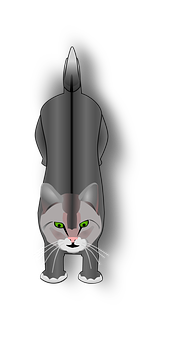 Front Facing Gray Cat Illustration PNG Image